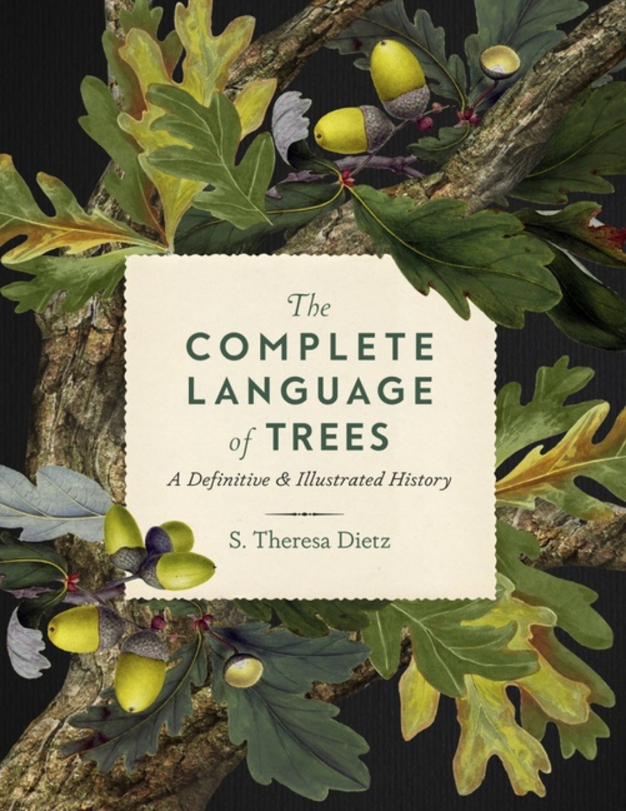 Picture of Complete Language Of Trees