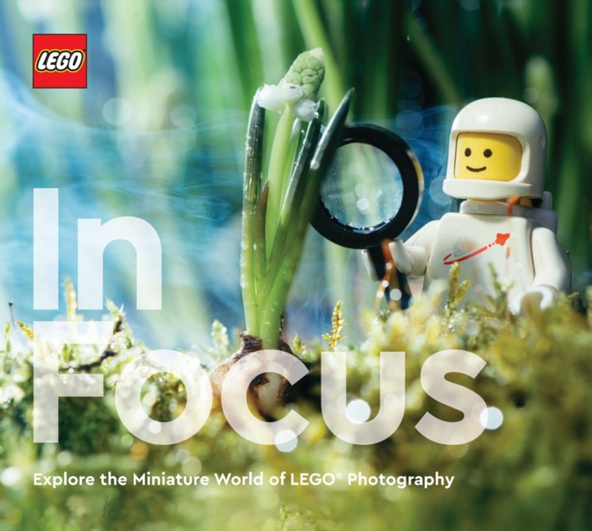 Picture of Lego in Focus