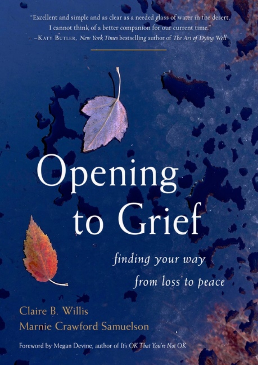 Picture of Opening To Grief : Finding Your Way from Loss to Peace