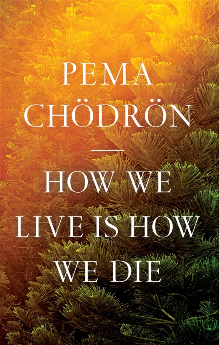 Picture of How We Live Is How We Die