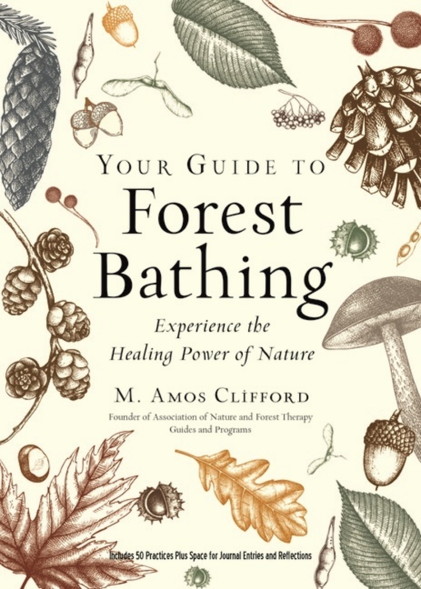 Picture of Your Guide To Forest Bathing (Expanded Edition)