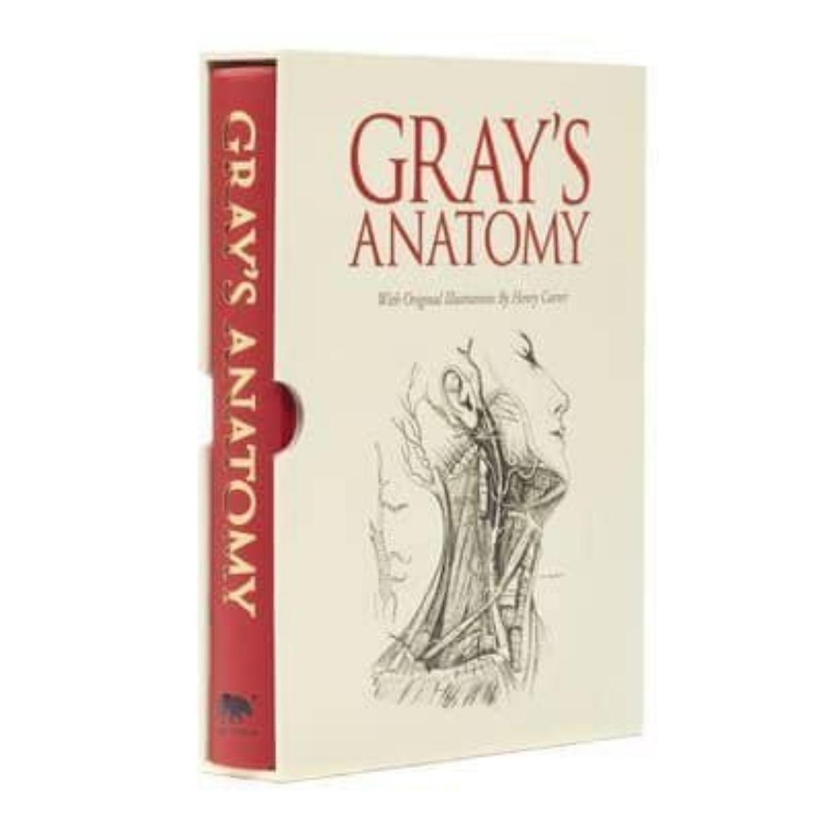 Picture of Grays Anatomy