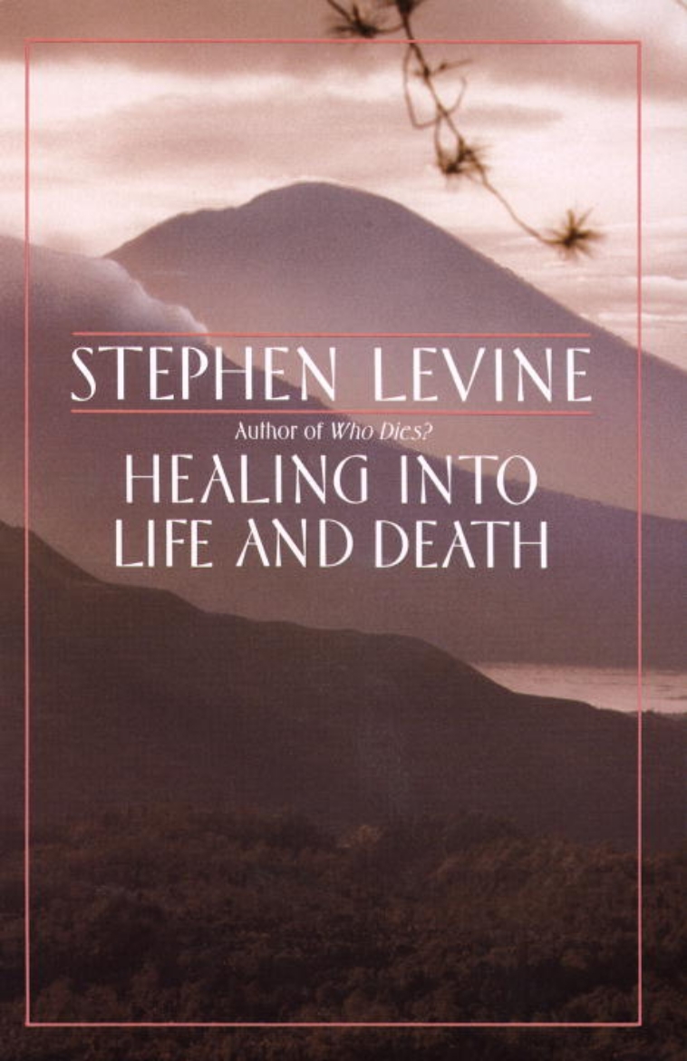 Picture of Healing Into Life And Death