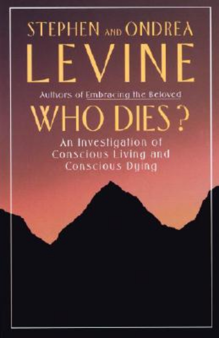 Picture of Who Dies?