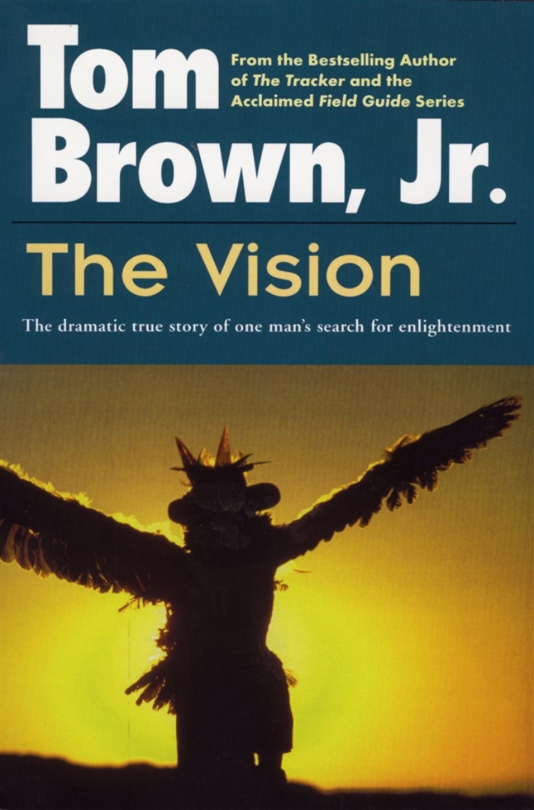 Picture of Vision (The) (Q)