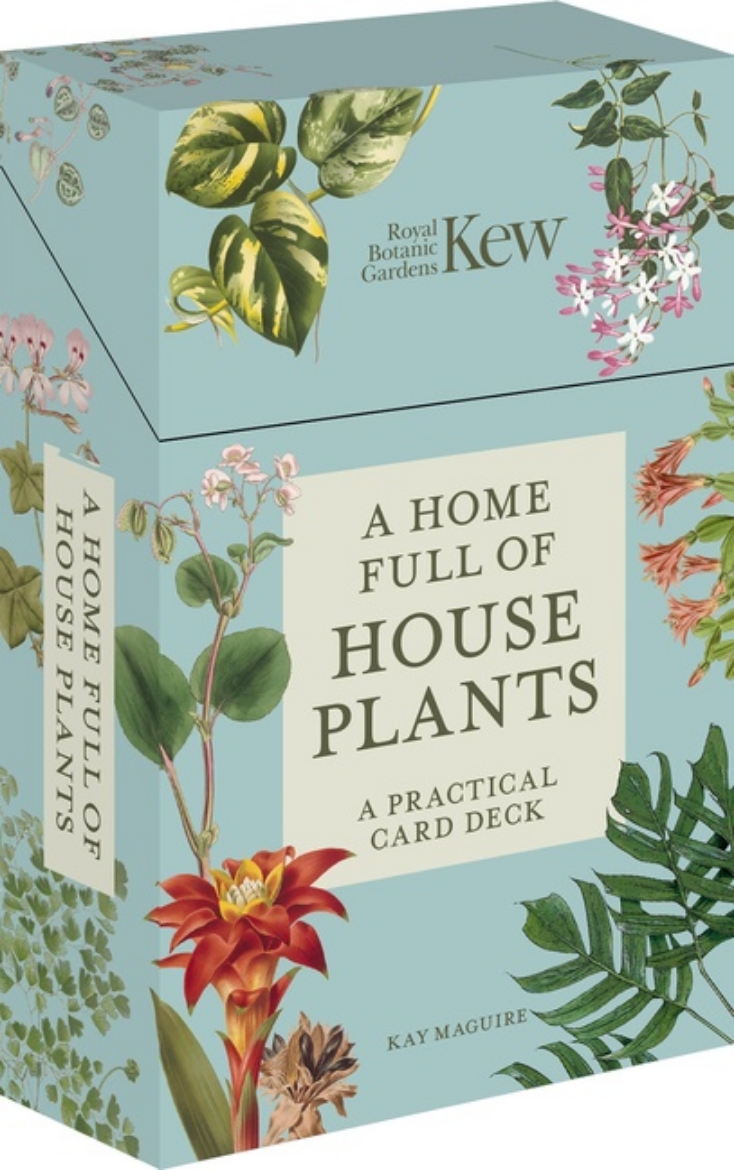 Picture of A Home Full of House Plants