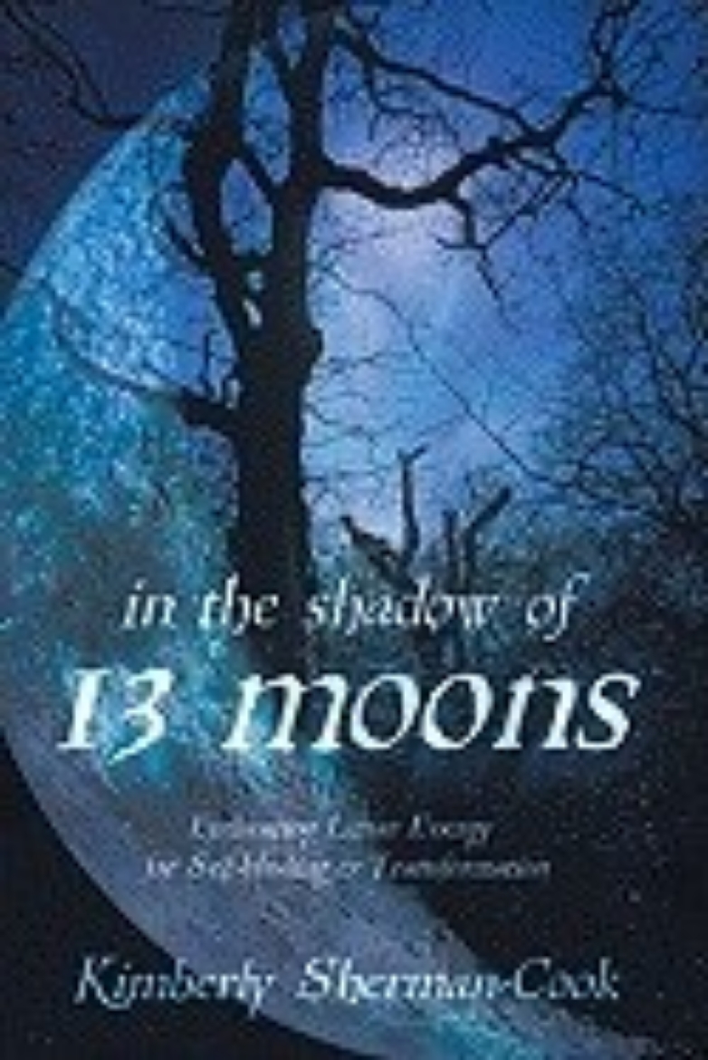 Picture of In the Shadow of 13 Moons: Embracing Lunar Energy for Self-Healing and Transformation