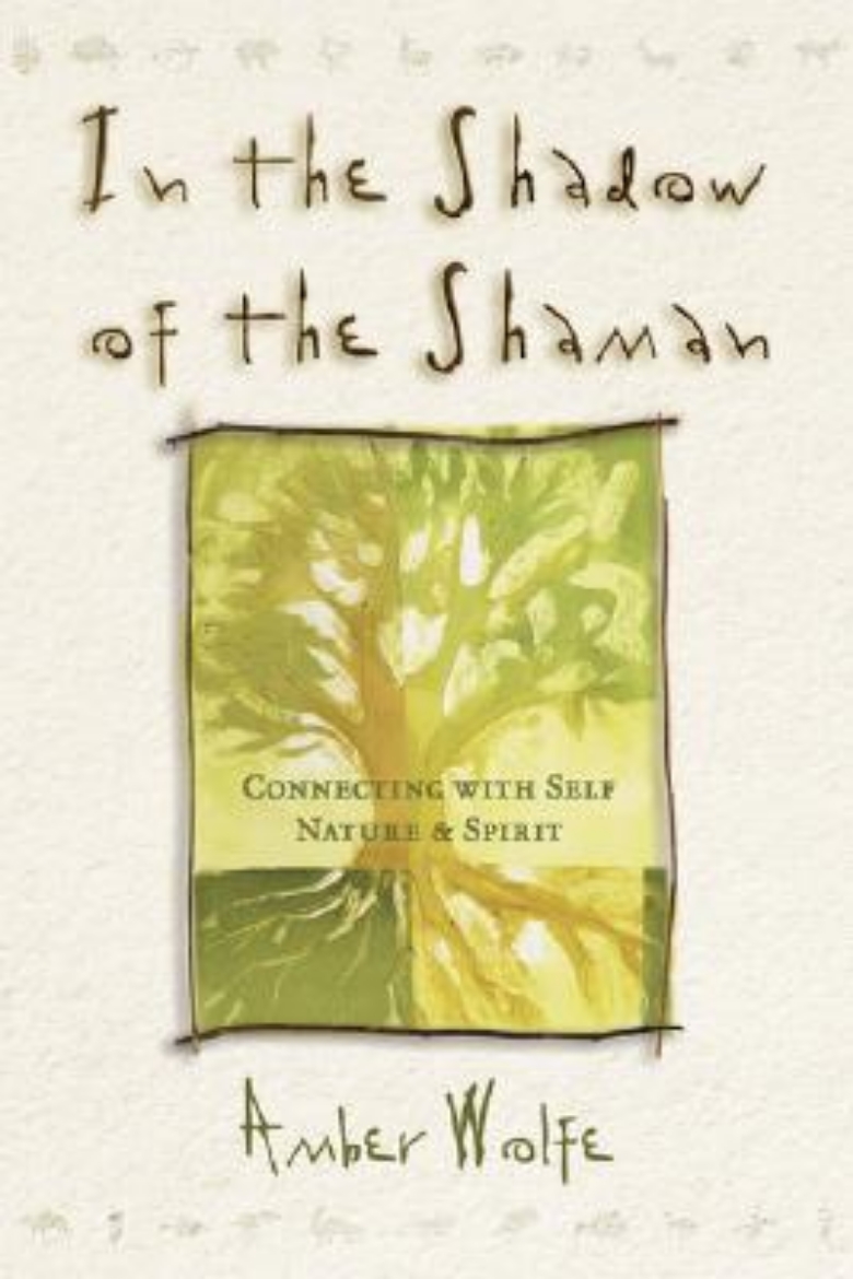 Picture of In the shadow of the shaman