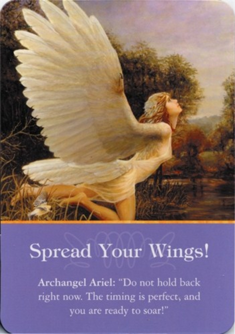 Picture of Magnet, Spread Your Wings (3-1/2" X 5")
