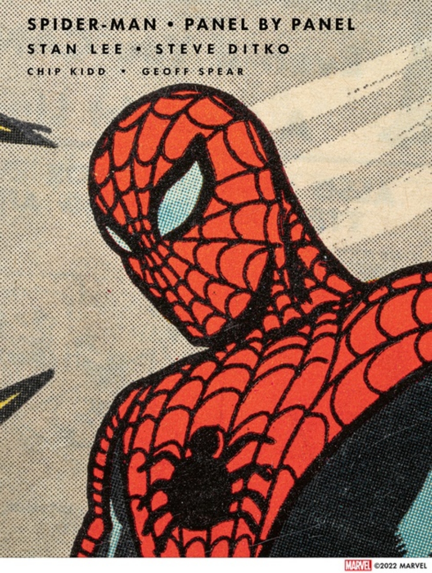 Picture of Spider-Man: Panel by Panel