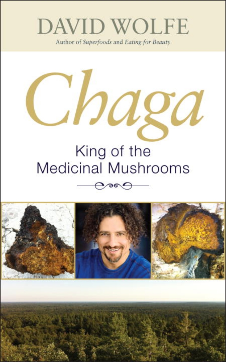 Picture of Chaga