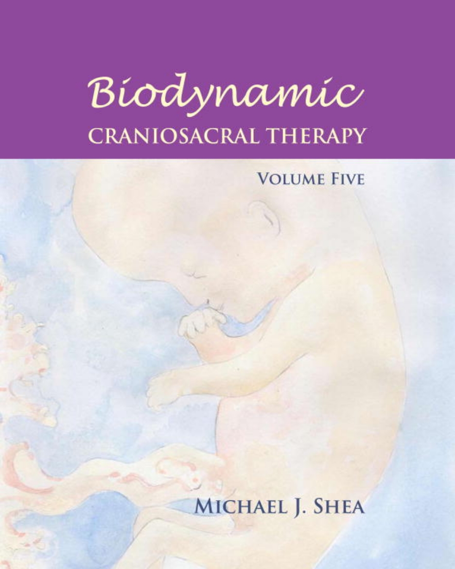 Picture of Biodynamic Craniosacral Therapy, Volume Five
