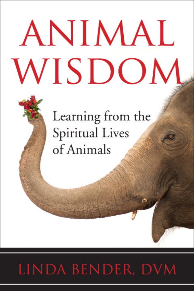 Picture of Animal Wisdom