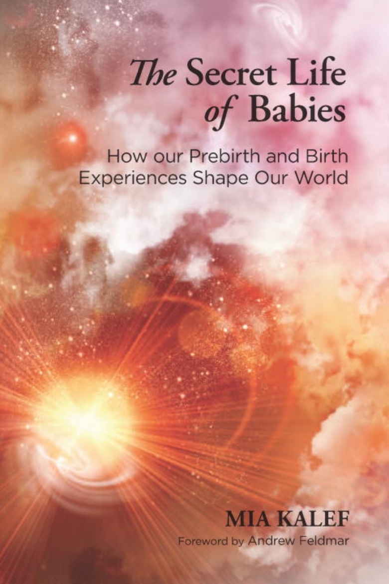 Picture of Secret life of babies