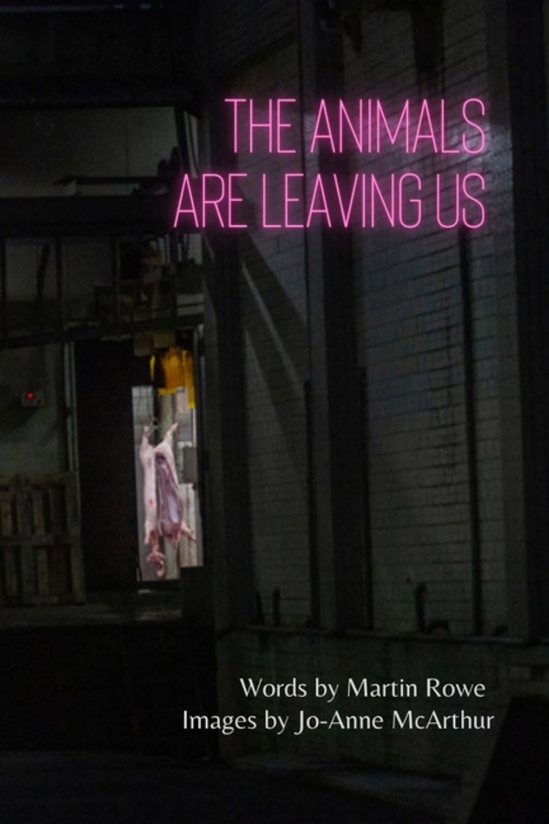Picture of Animals Are Leaving Us