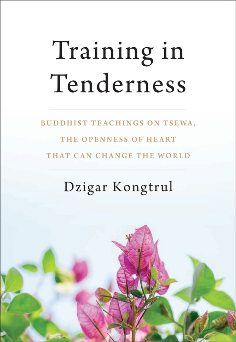 Picture of Training in tenderness - buddhist teachings on tsewa, the radical openness