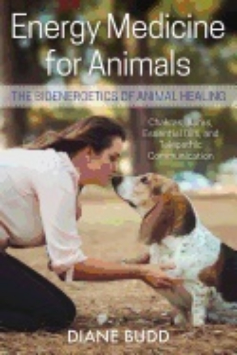 Picture of Energy Medicine For Animals