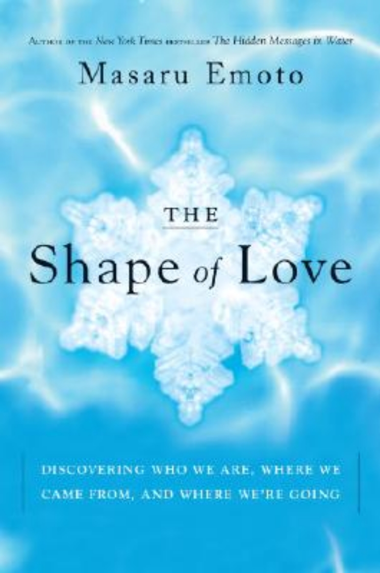 Picture of The Shape of Love