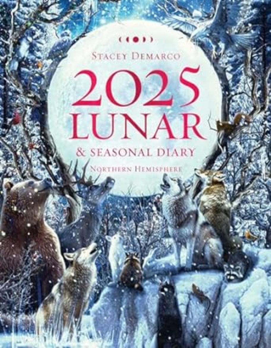 Picture of 2025 Lunar and Seasonal Diary - Northern Hemisphere: Seasonal planner for 2025