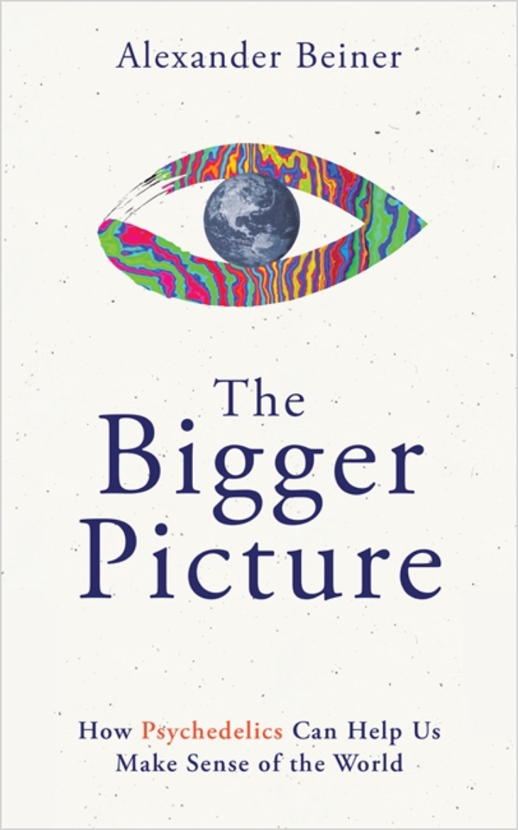 Picture of The Bigger Picture