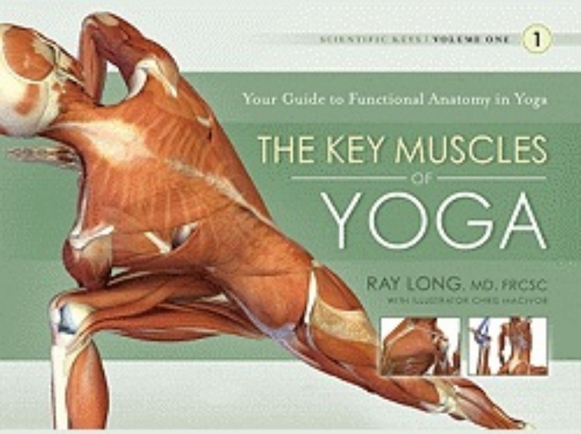 Picture of Key muscles of yoga: your guide to functional anatomy in yoga