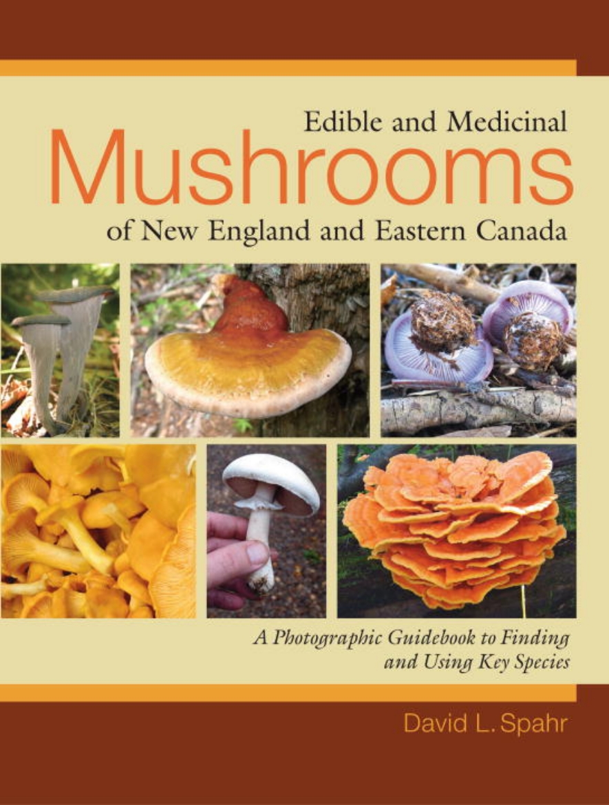 Picture of Edible and Medicinal Mushrooms of New England and Eastern Canada