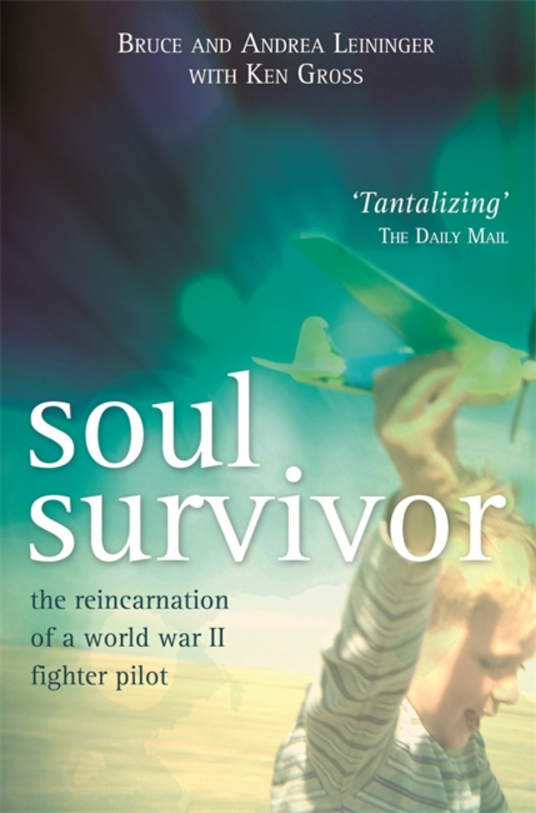 Picture of Soul survivor - the reincarnation of a world war ii fighter pilot