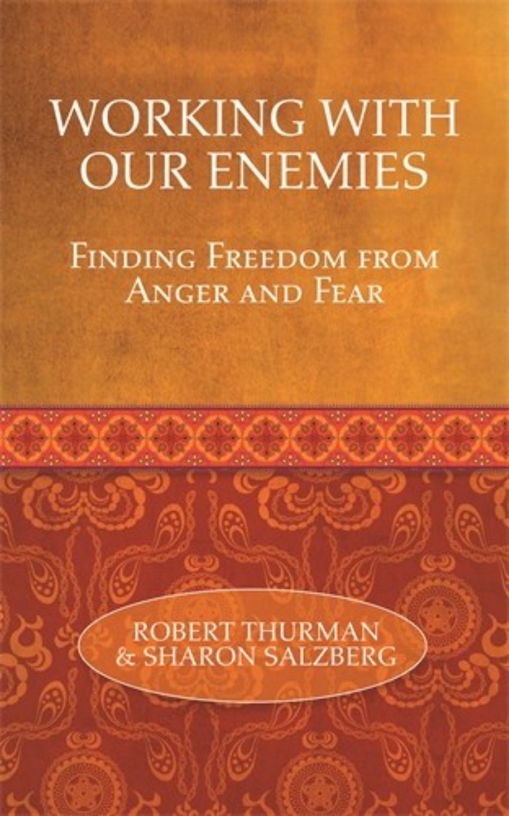 Picture of Love your enemies - how to break the anger habit and be much happier