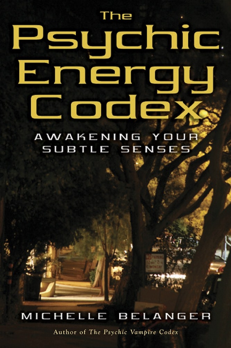 Picture of Psychic energy codex - awakening your subtle senses