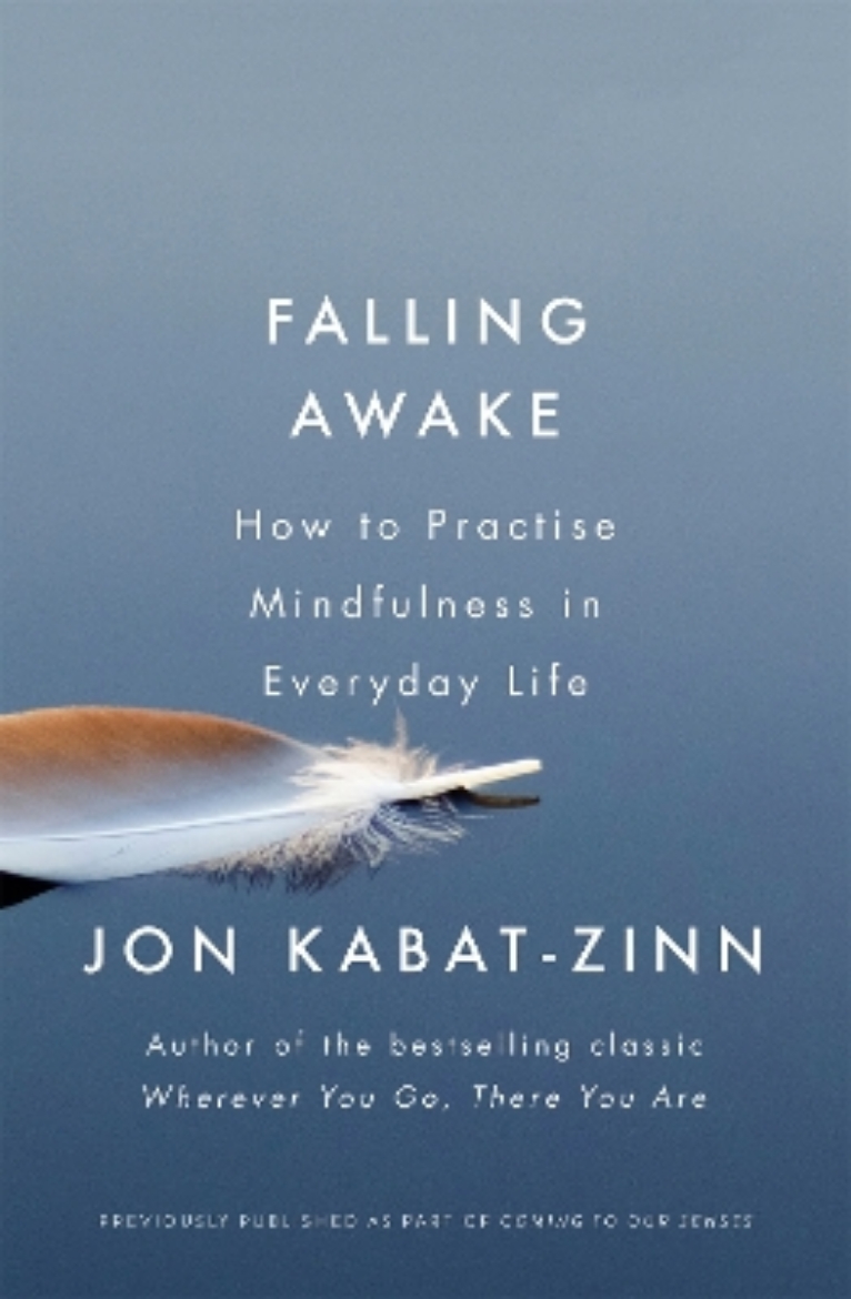 Picture of Falling awake - how to practice mindfulness in everyday life
