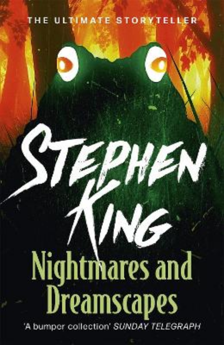Bild på Nightmares and dreamscapes