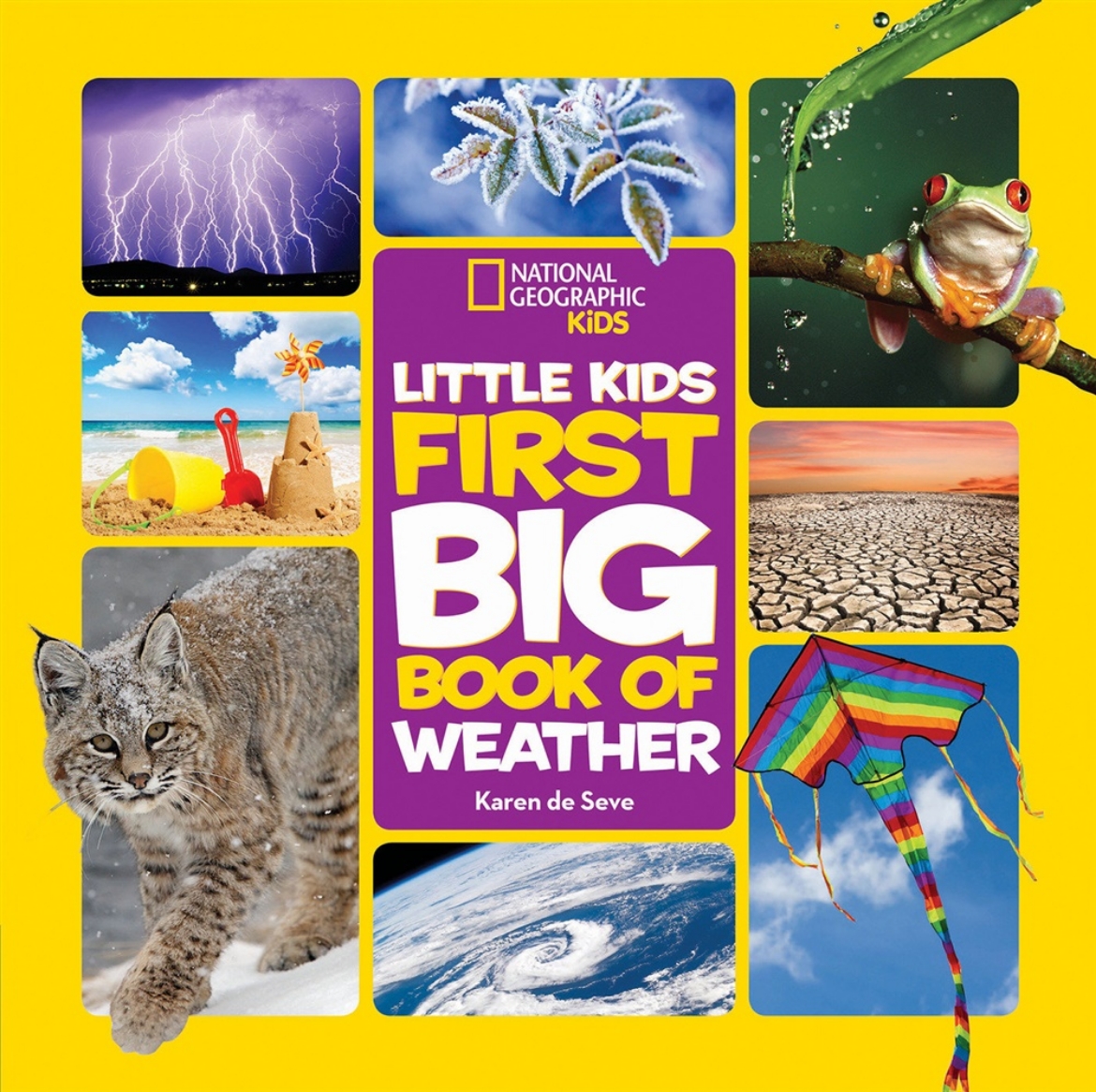 Bild på Little kids first big book of weather