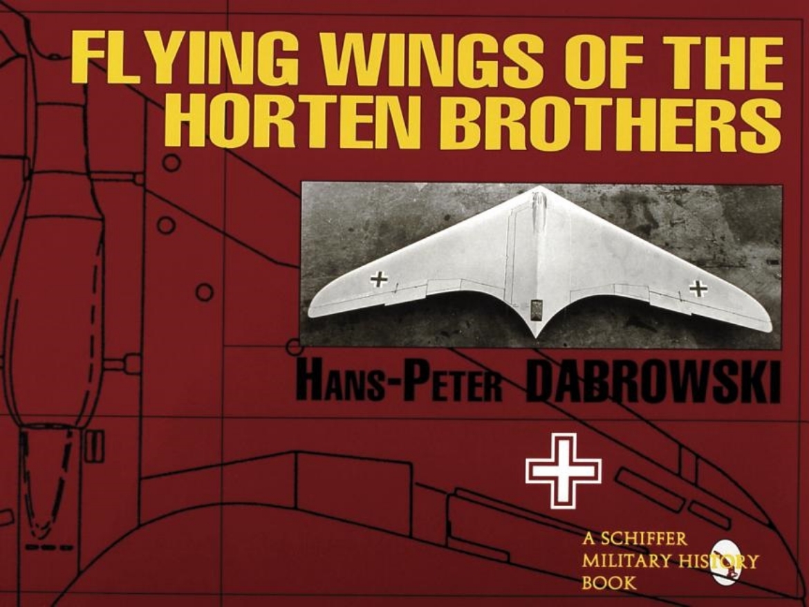 Bild på Flying wings of the horten brothers