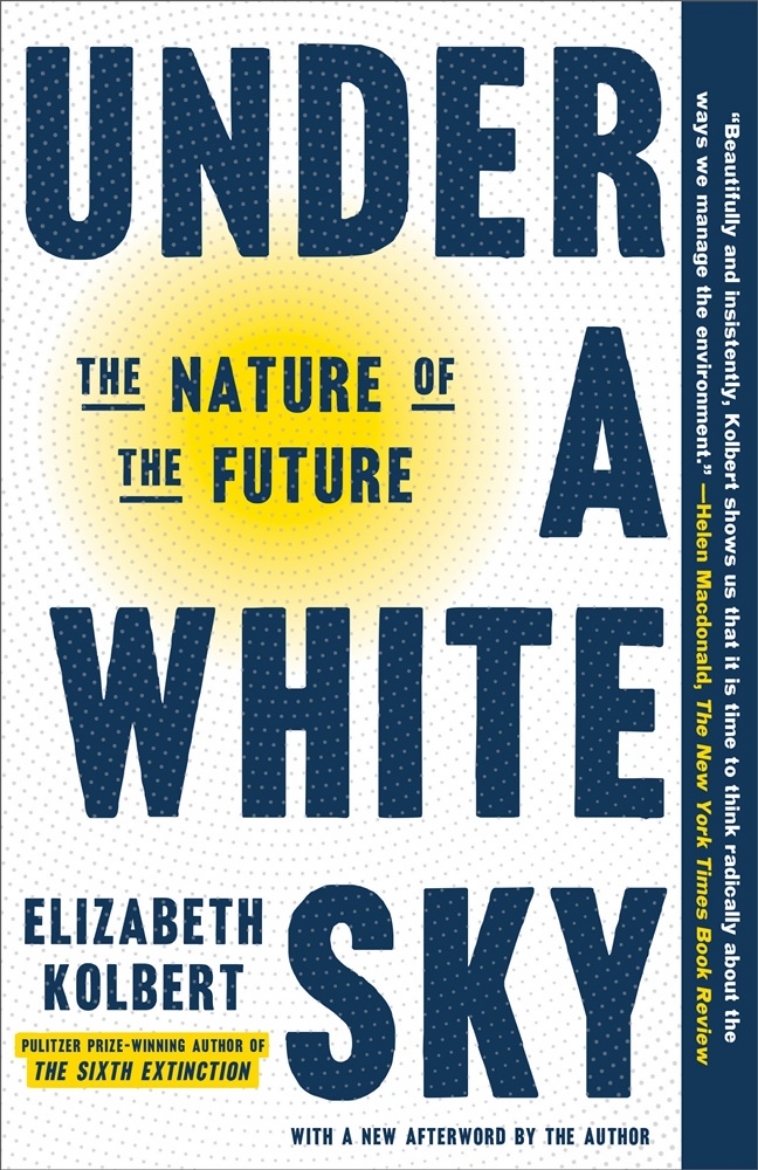 Picture of Under a White Sky