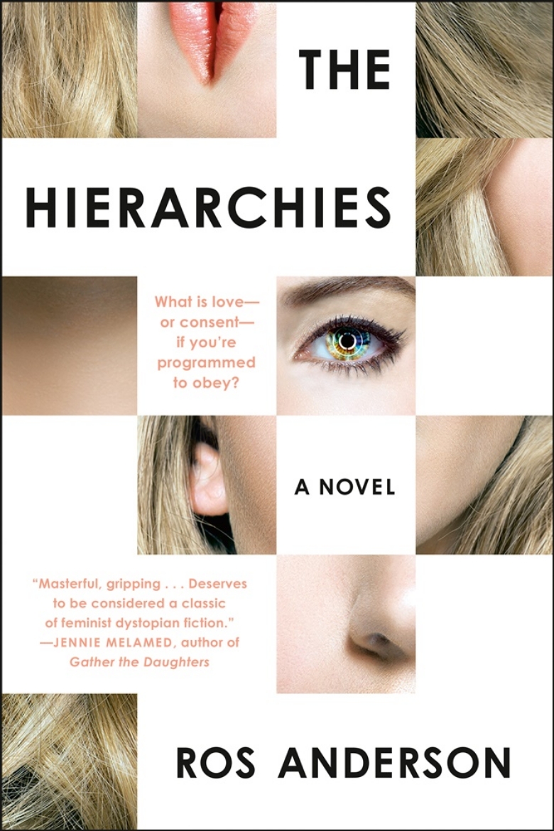 Picture of The Hierarchies