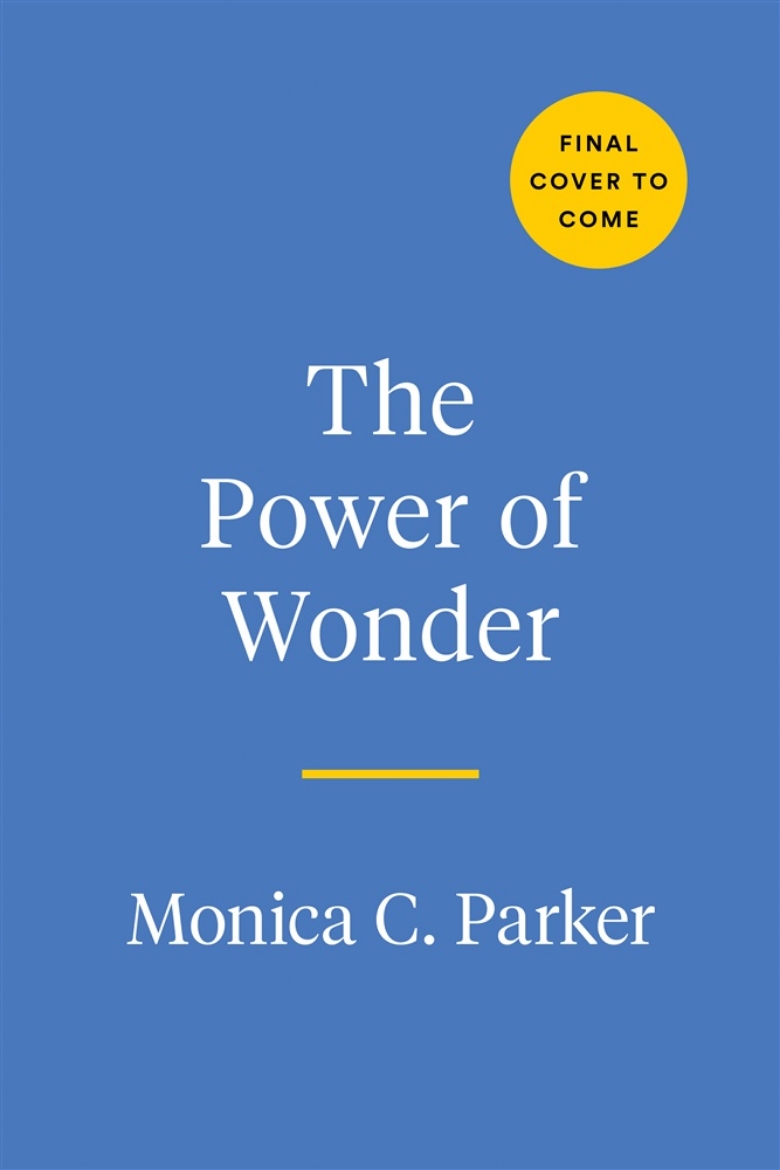 Picture of The Power of Wonder