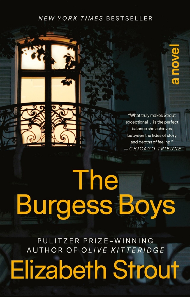 Picture of The Burgess Boys