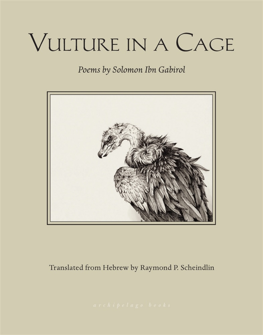 Picture of Vulture in a cage