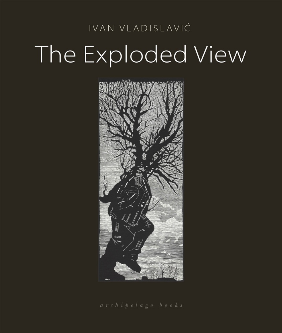 Picture of Exploded view