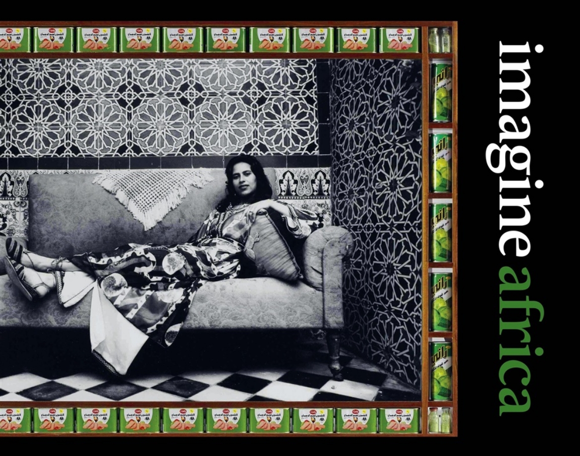 Picture of Imagine africa - volume 3