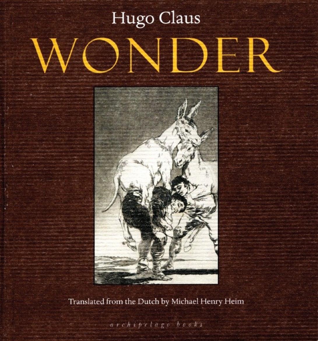 Picture of Wonder