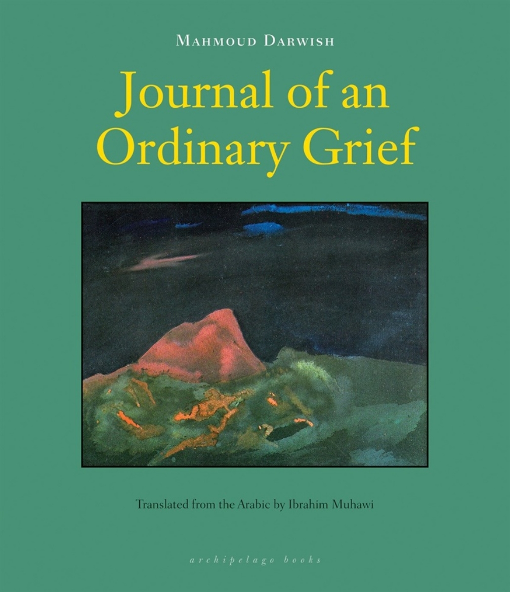 Picture of Journal of an ordinary grief