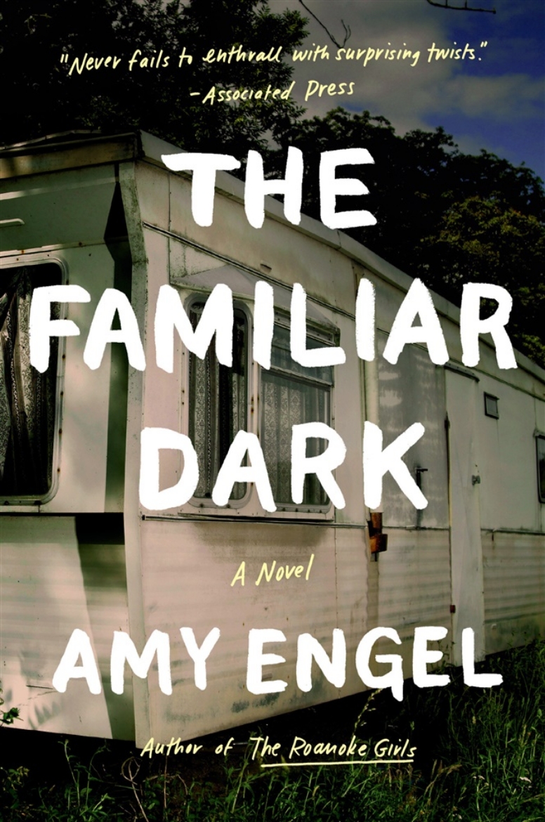 Picture of The Familiar Dark