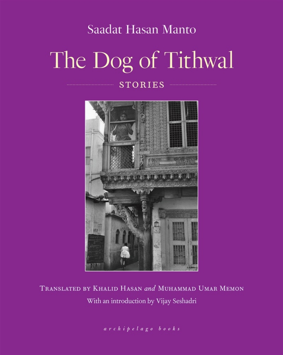 Picture of The Dog of Tithwal