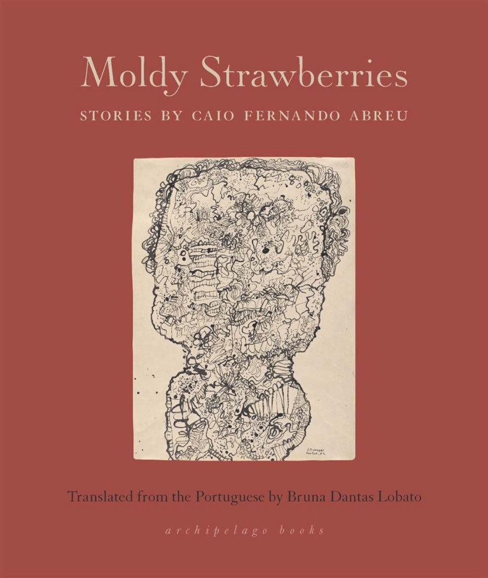 Picture of Moldy Strawberries