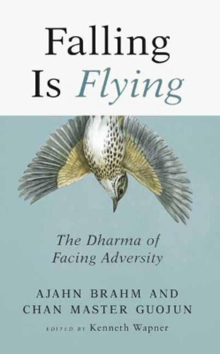 Picture of Falling is Flying: The Dharma of Facing Adversity