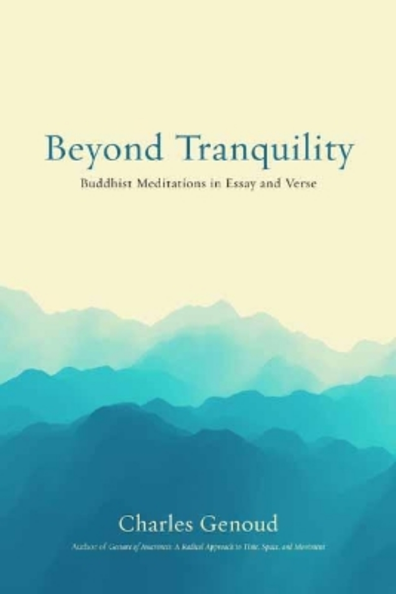 Picture of Beyond Tranquility: Buddhist Meditations in Essay and Verse
