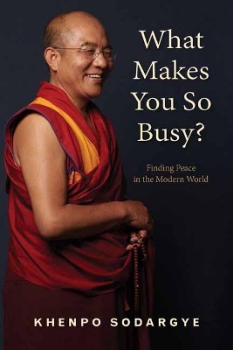 Picture of What Makes You So Busy?: Finding Peace in the Modern World