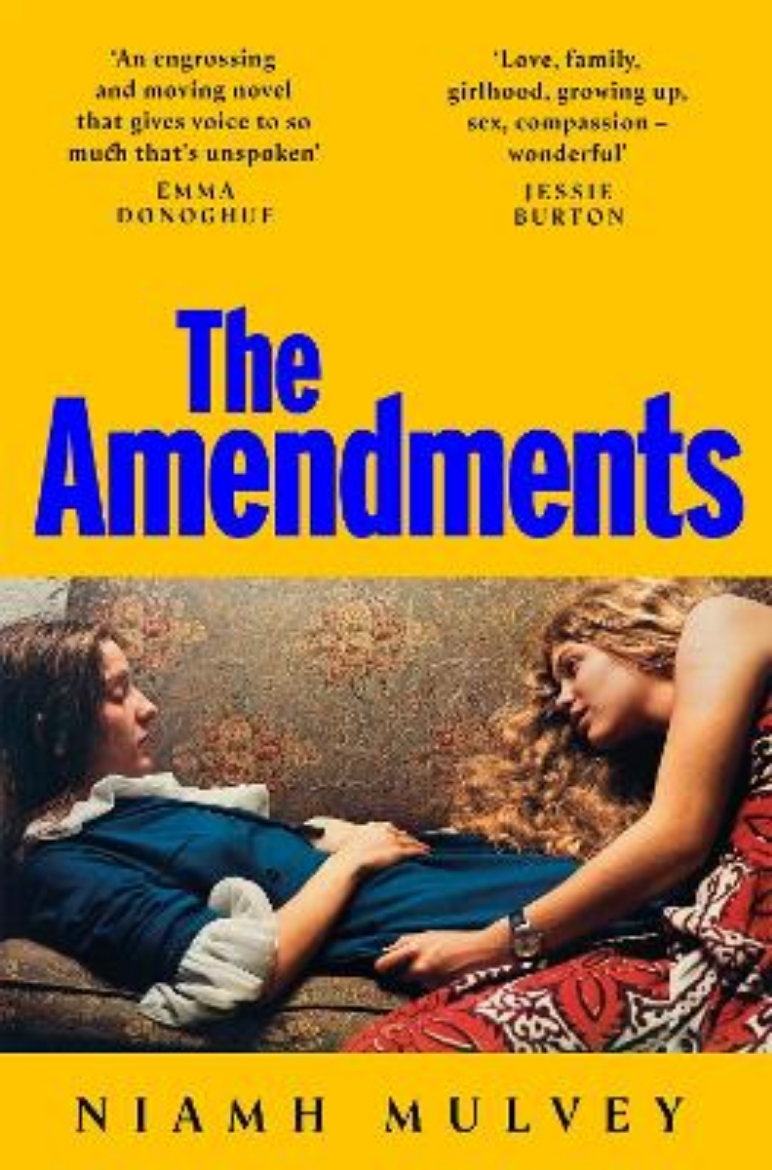 Picture of The Amendments