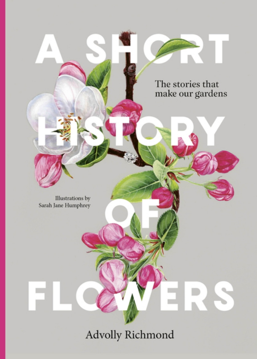 Picture of A Short History of Flowers